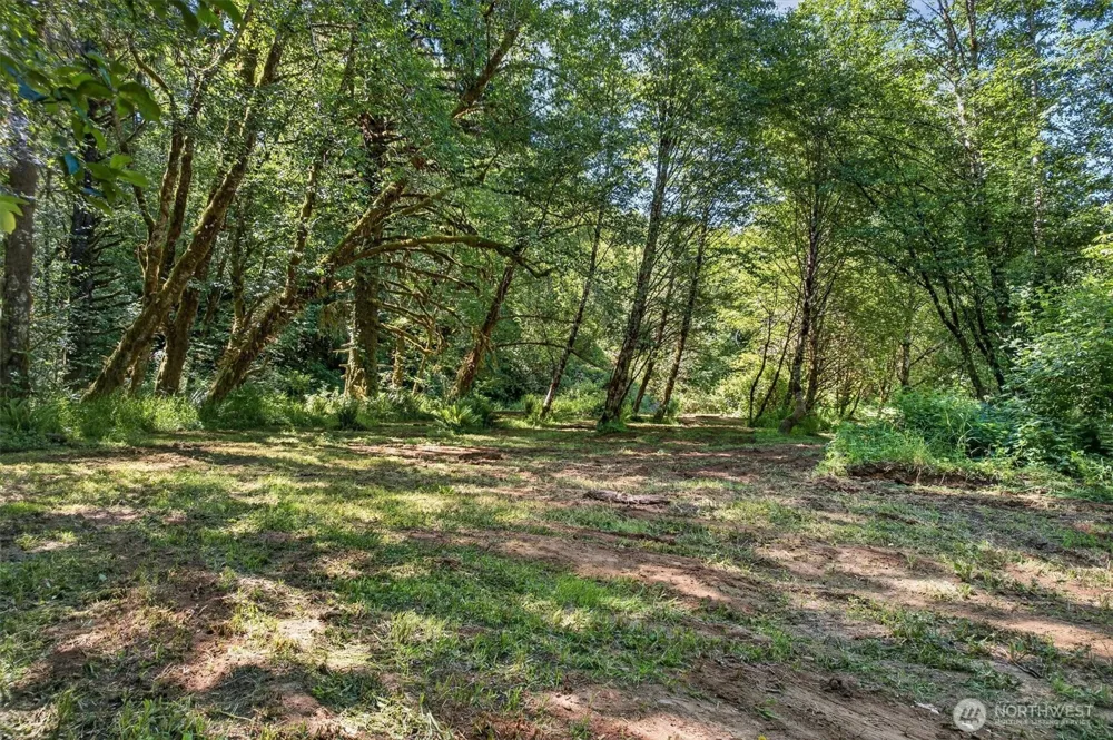 344 Hull Creek Road Grays River, WA 98621