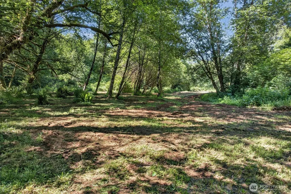344 Hull Creek Road Grays River, WA 98621