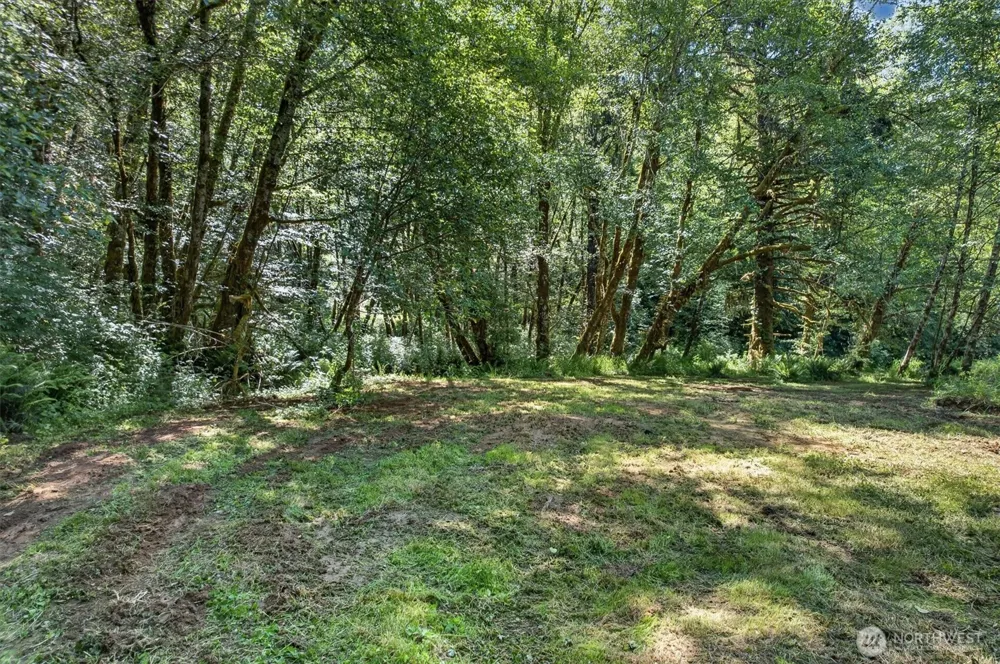 344 Hull Creek Road Grays River, WA 98621