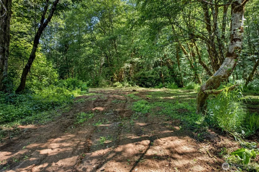 344 Hull Creek Road Grays River, WA 98621