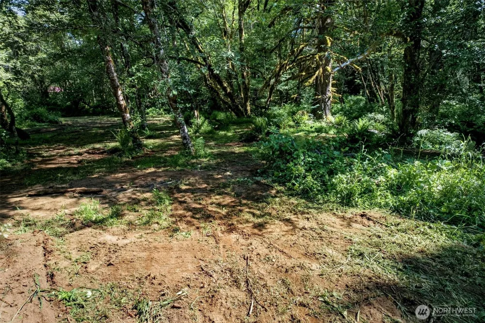 344 Hull Creek Road Grays River, WA 98621