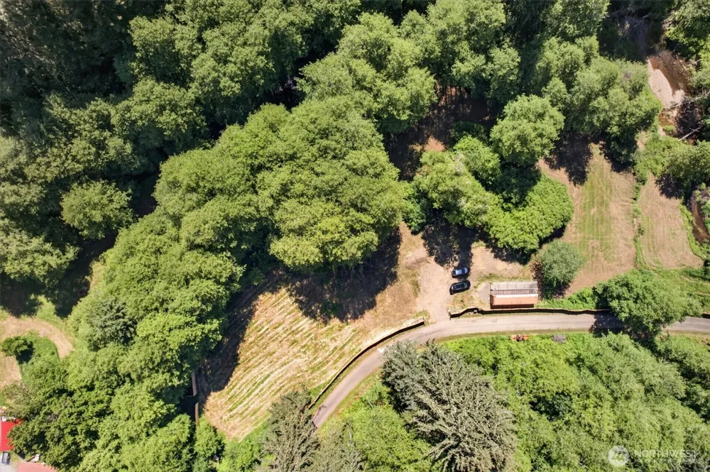 344 Hull Creek Road Grays River, WA 98621