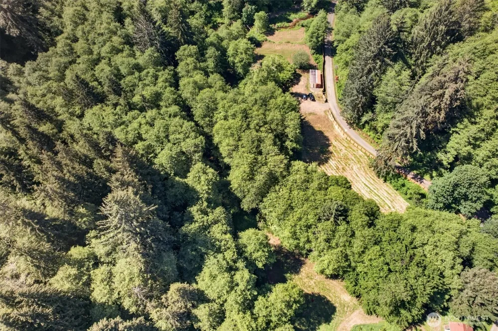 344 Hull Creek Road Grays River, WA 98621