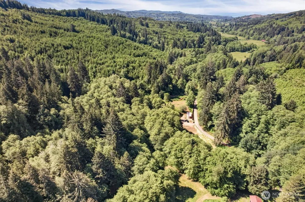 344 Hull Creek Road Grays River, WA 98621