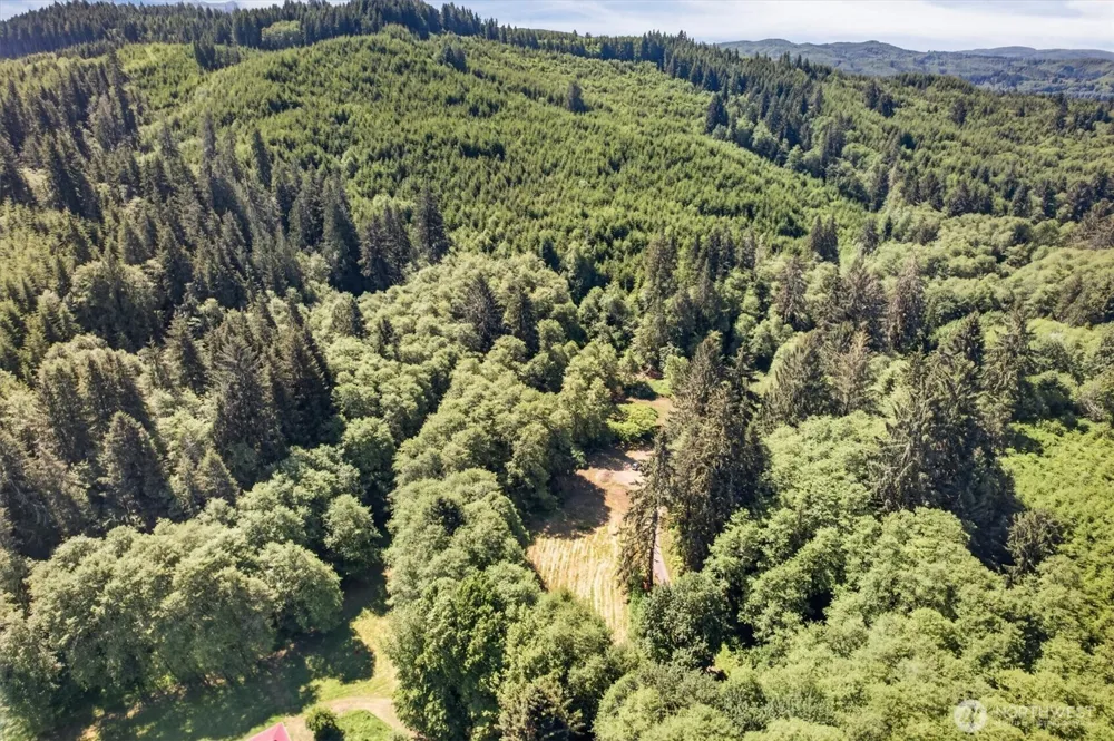 344 Hull Creek Road Grays River, WA 98621