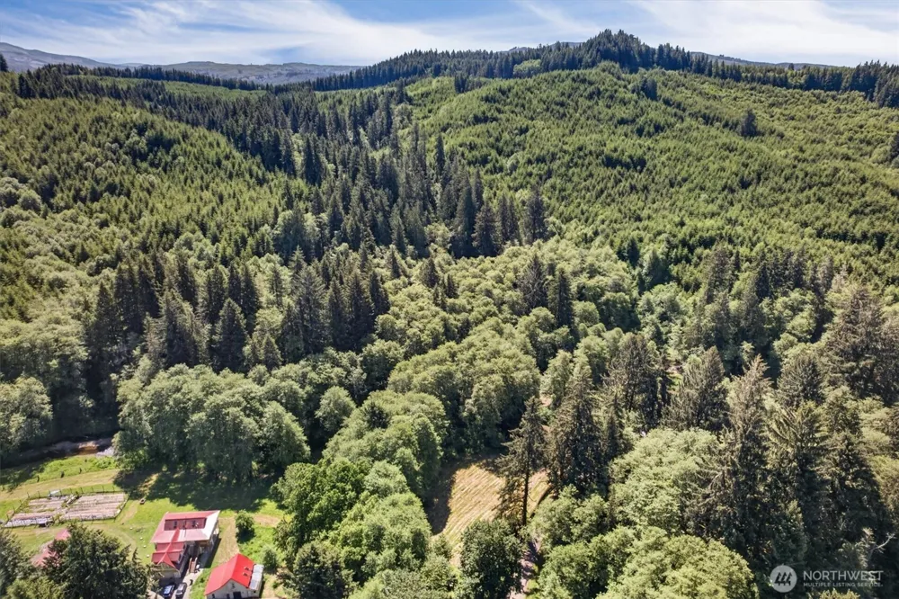 344 Hull Creek Road Grays River, WA 98621