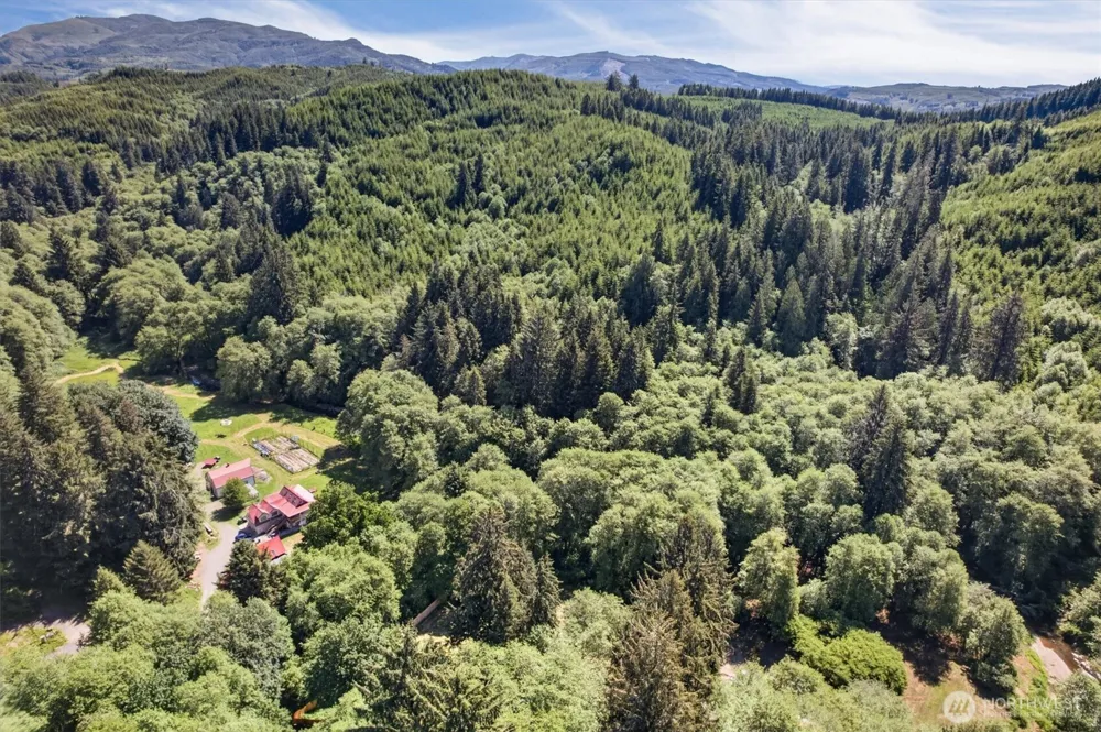 344 Hull Creek Road Grays River, WA 98621