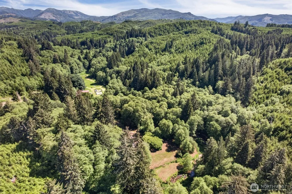 344 Hull Creek Road Grays River, WA 98621