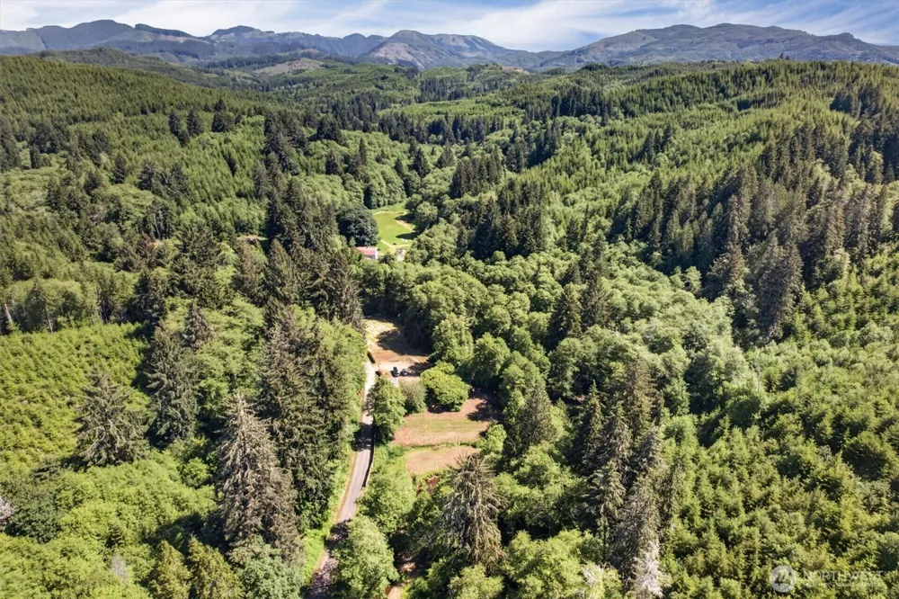 344 Hull Creek Road Grays River, WA 98621
