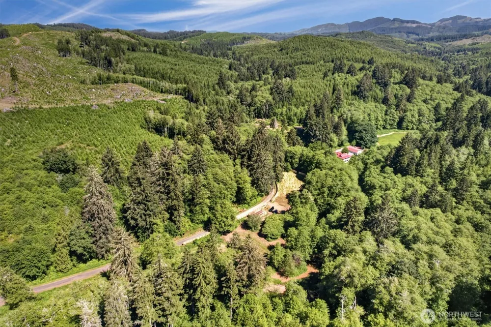 344 Hull Creek Road Grays River, WA 98621