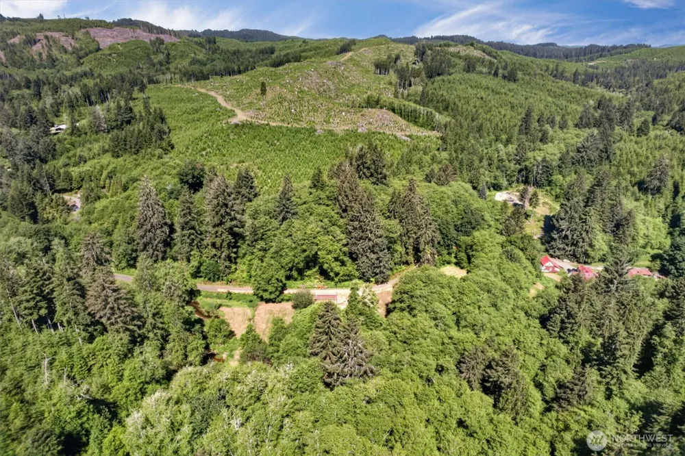 344 Hull Creek Road Grays River, WA 98621