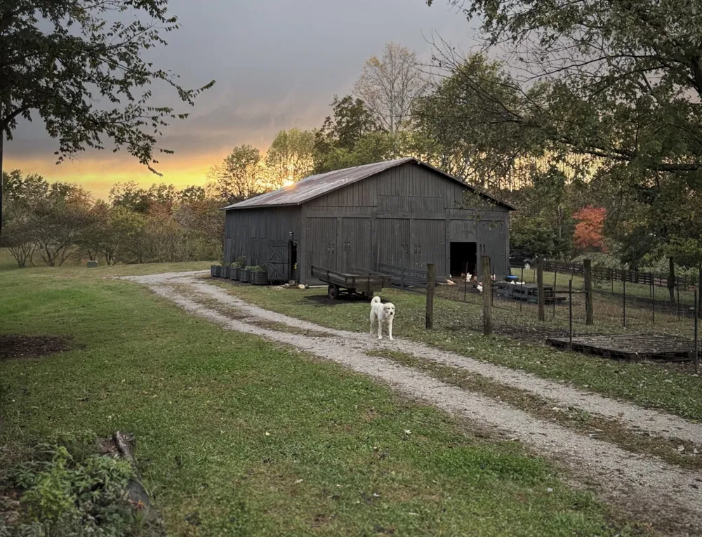 6045 Green Road Bloomington Springs, TN 38545