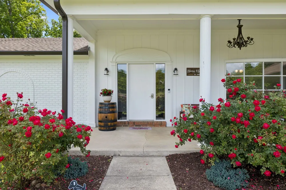 6045 Green Road Bloomington Springs, TN 38545
