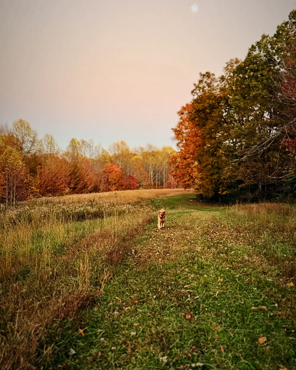 6045 Green Road Bloomington Springs, TN 38545