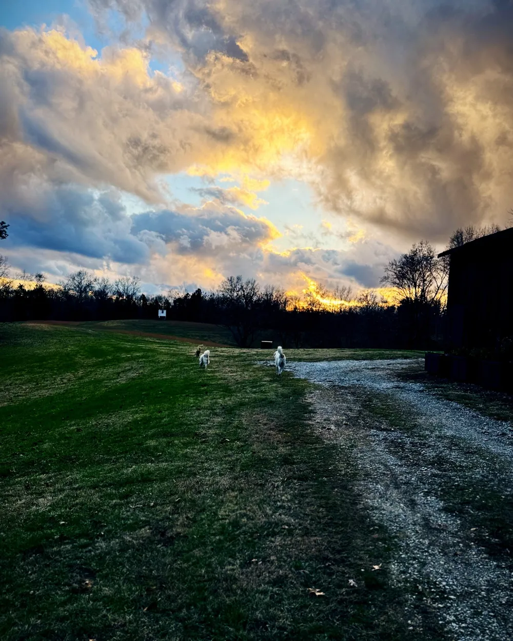 6045 Green Road Bloomington Springs, TN 38545