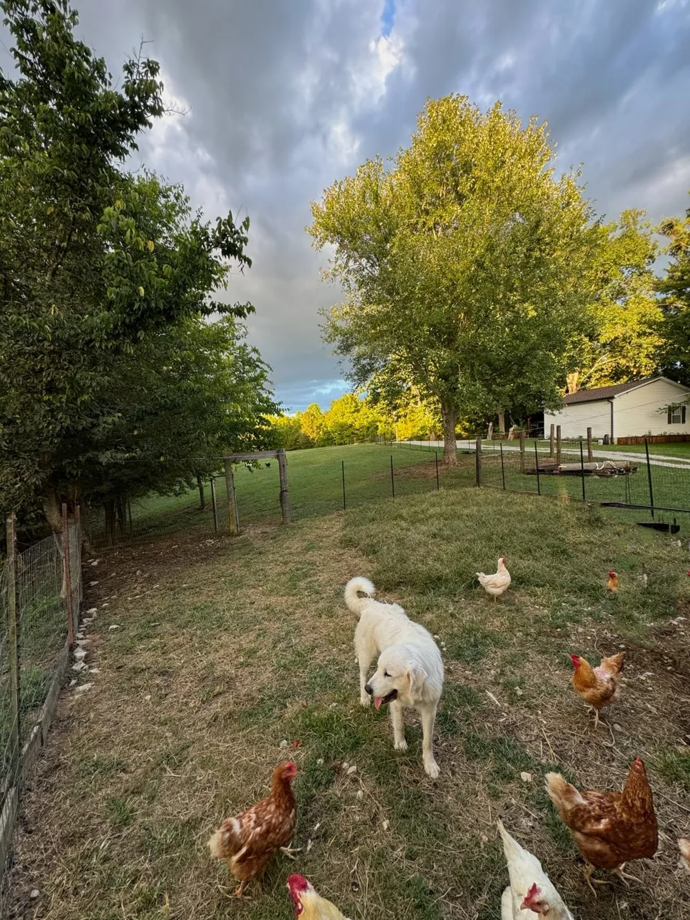 6045 Green Road Bloomington Springs, TN 38545