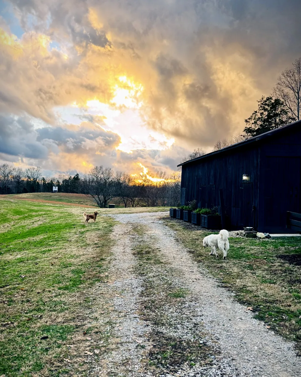 6045 Green Road Bloomington Springs, TN 38545