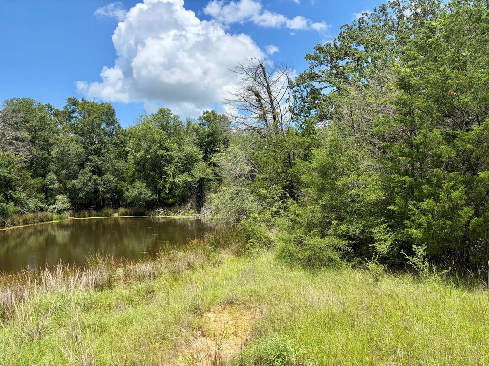 FM 39 Groesbeck, TX 76642