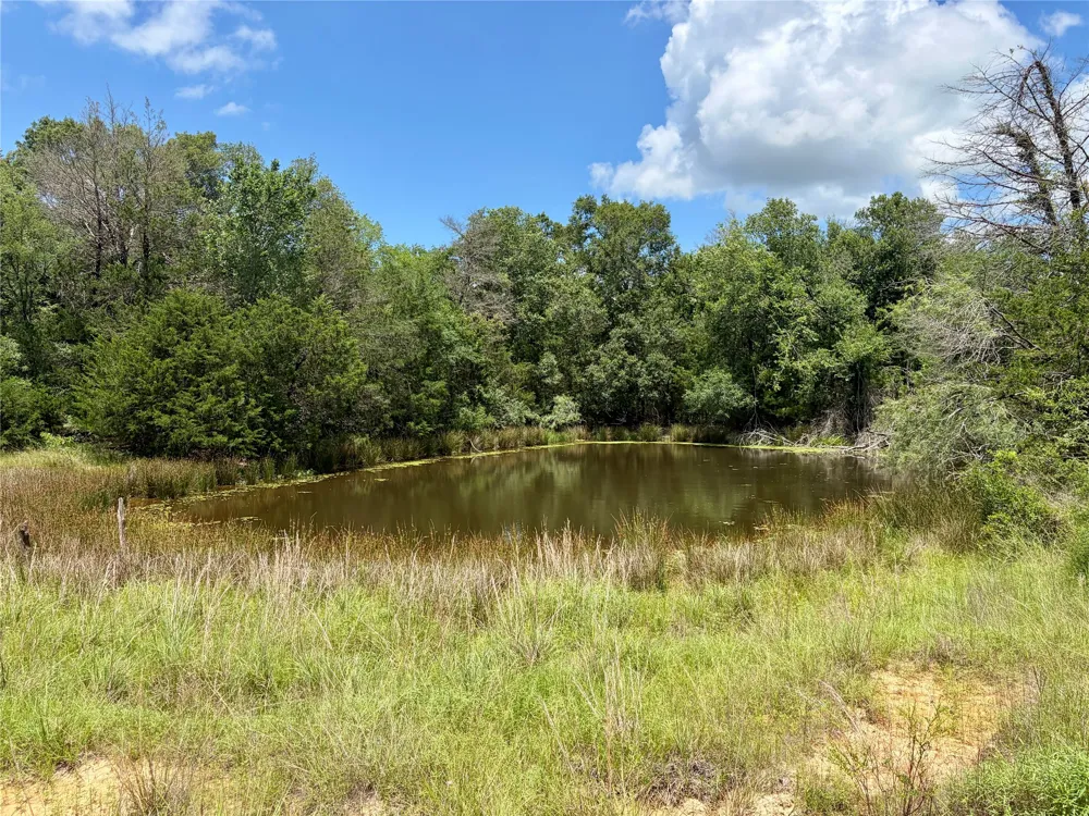 FM 39 Groesbeck, TX 76642