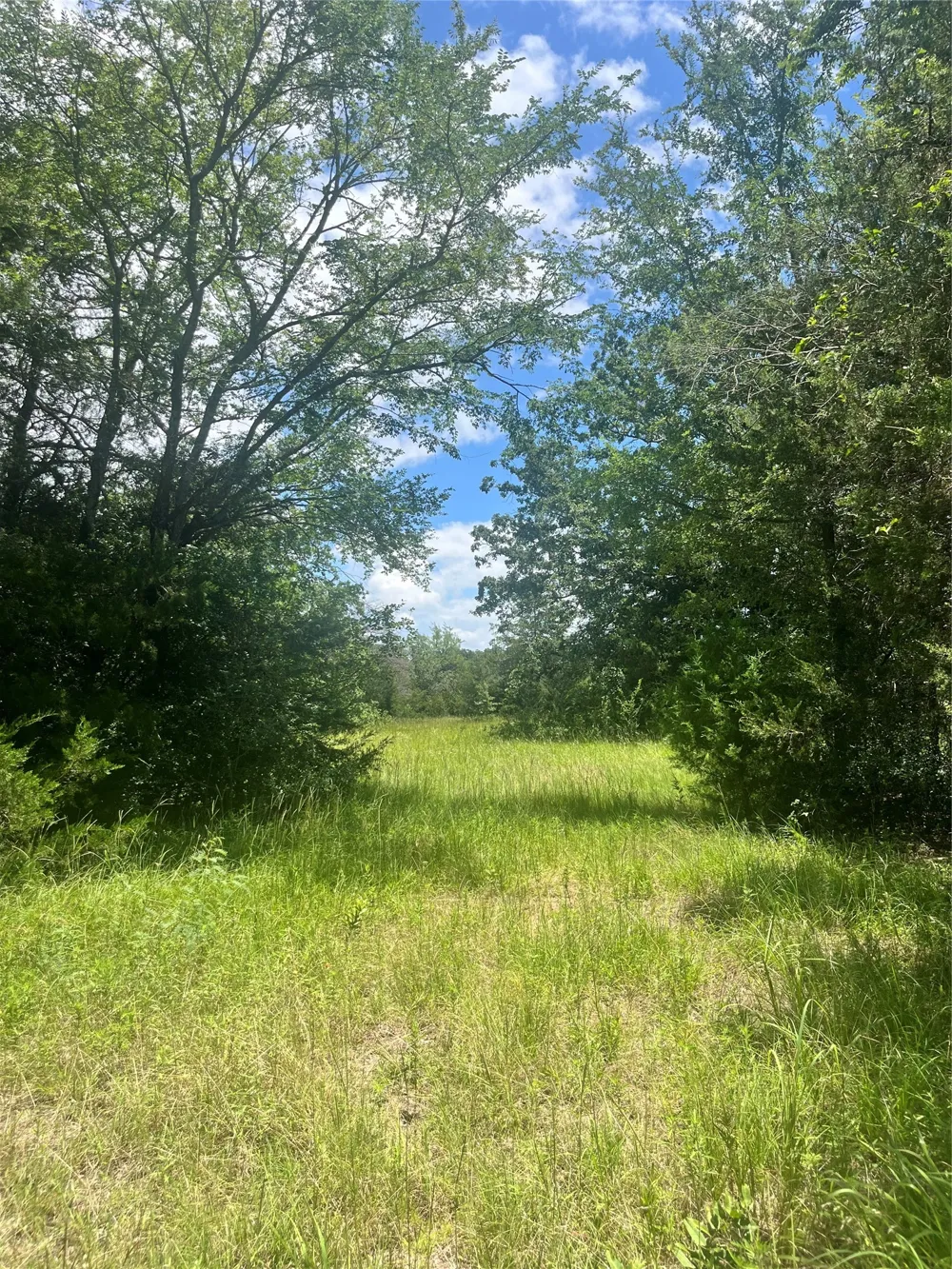 FM 39 Groesbeck, TX 76642