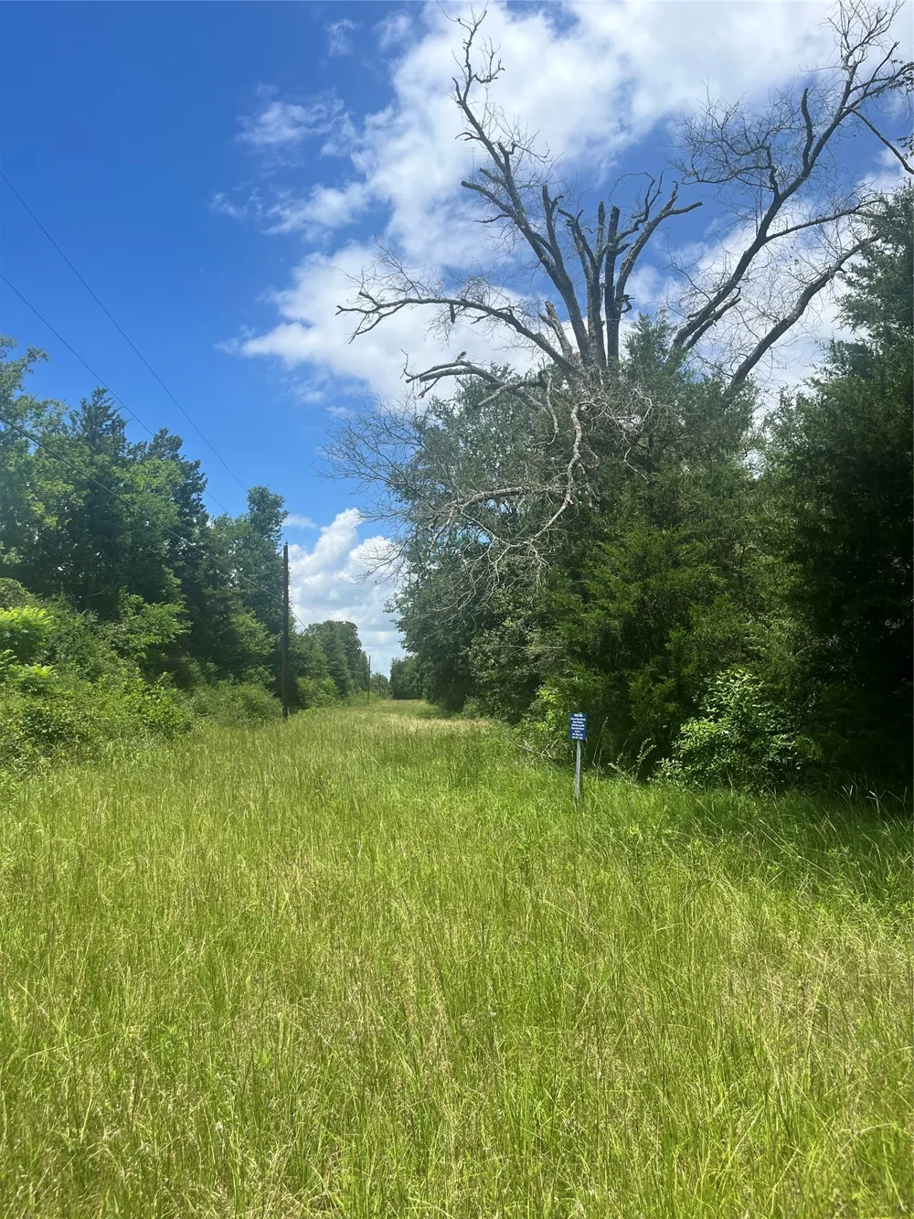 FM 39 Groesbeck, TX 76642