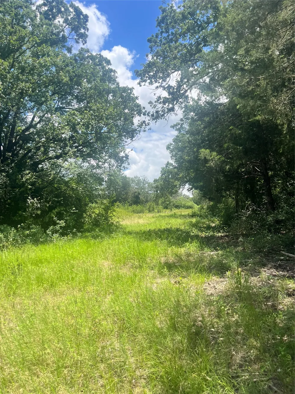 FM 39 Groesbeck, TX 76642
