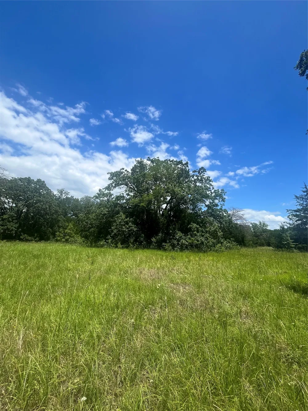 FM 39 Groesbeck, TX 76642