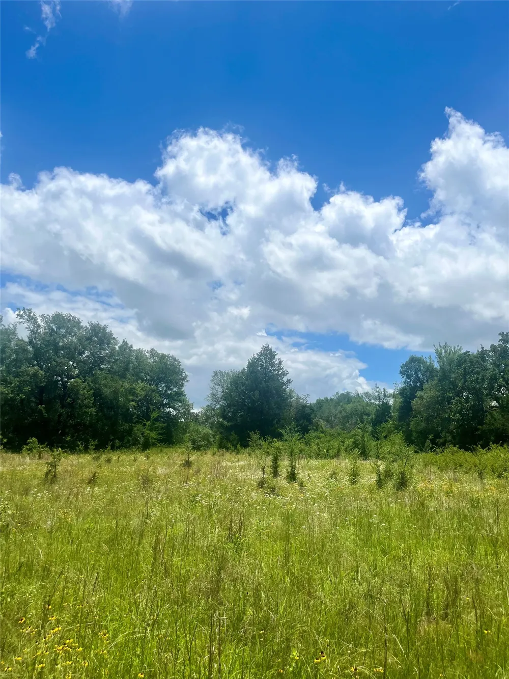 FM 39 Groesbeck, TX 76642