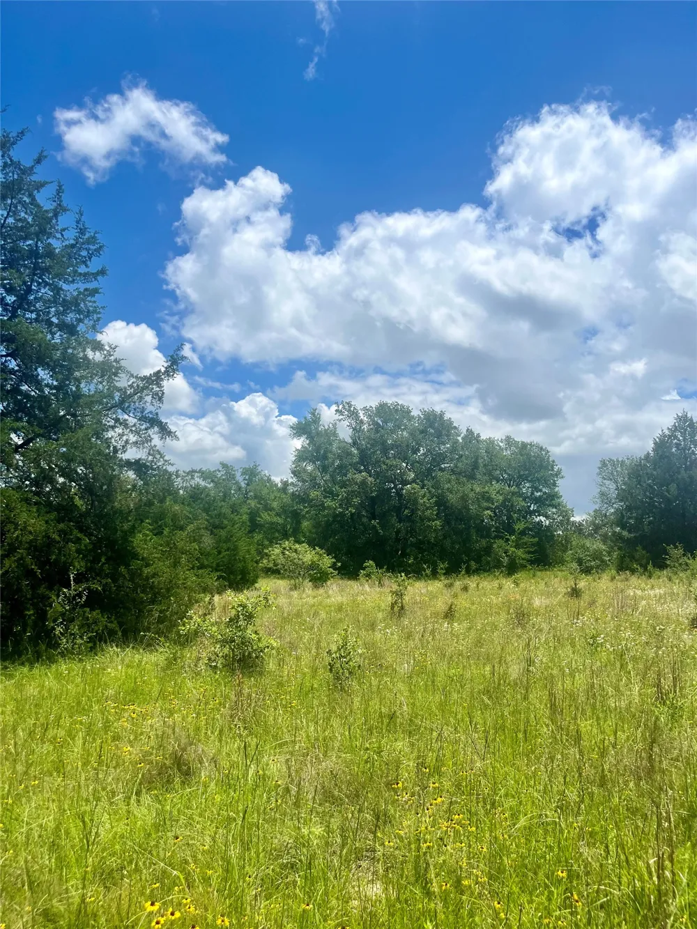 FM 39 Groesbeck, TX 76642