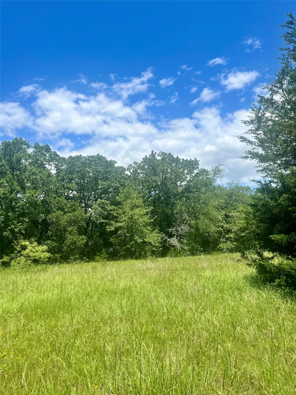 FM 39 Groesbeck, TX 76642