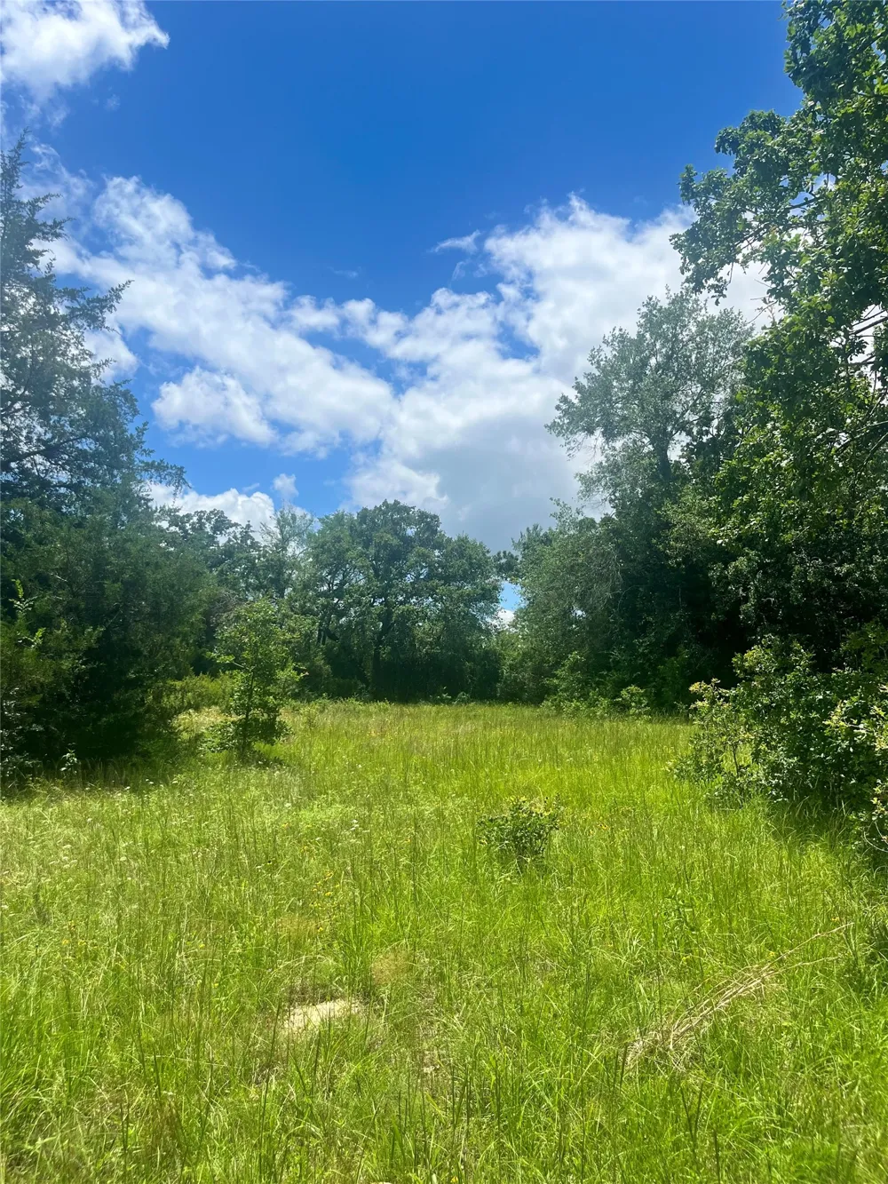 FM 39 Groesbeck, TX 76642