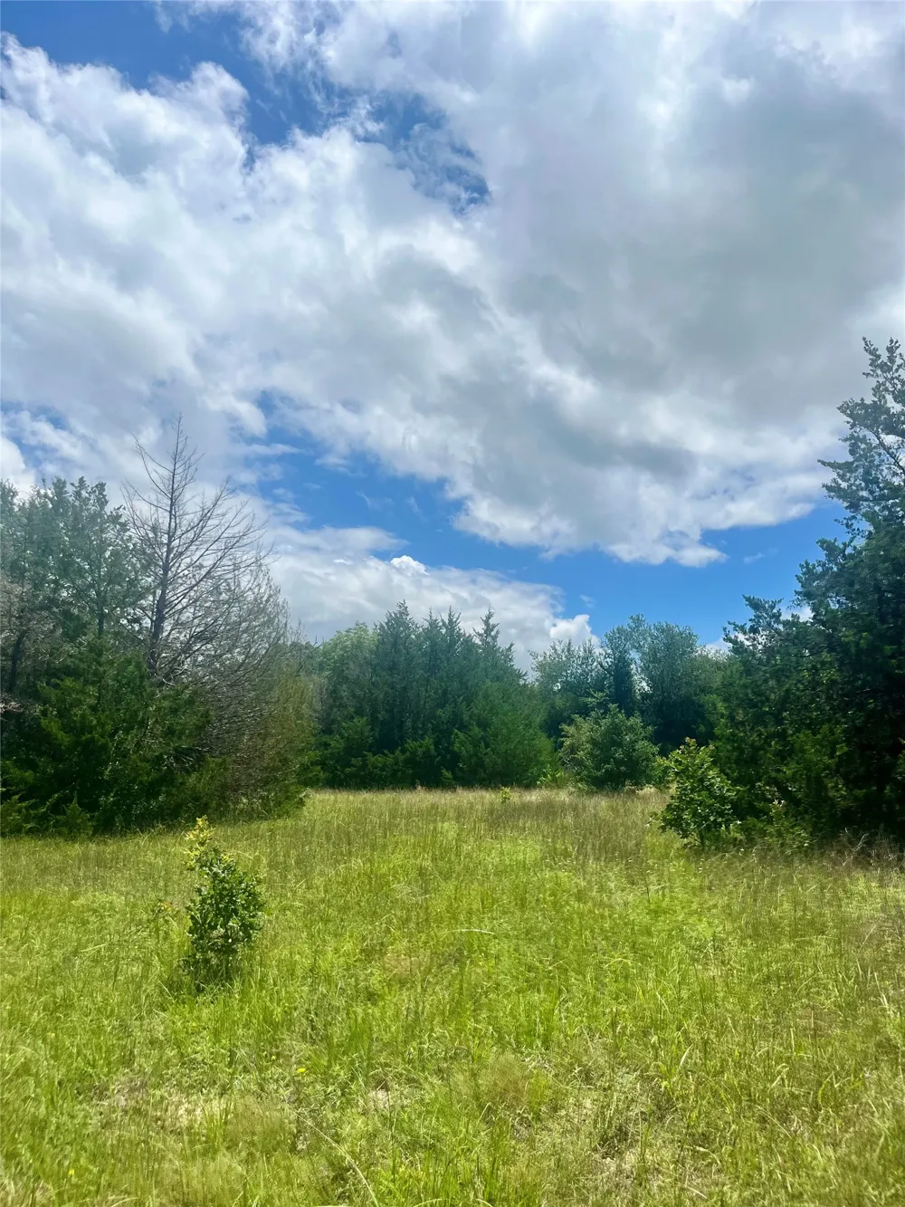 FM 39 Groesbeck, TX 76642