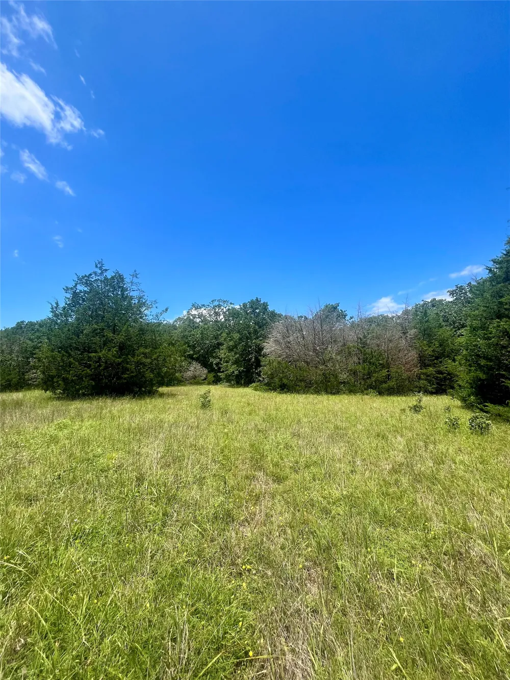 FM 39 Groesbeck, TX 76642