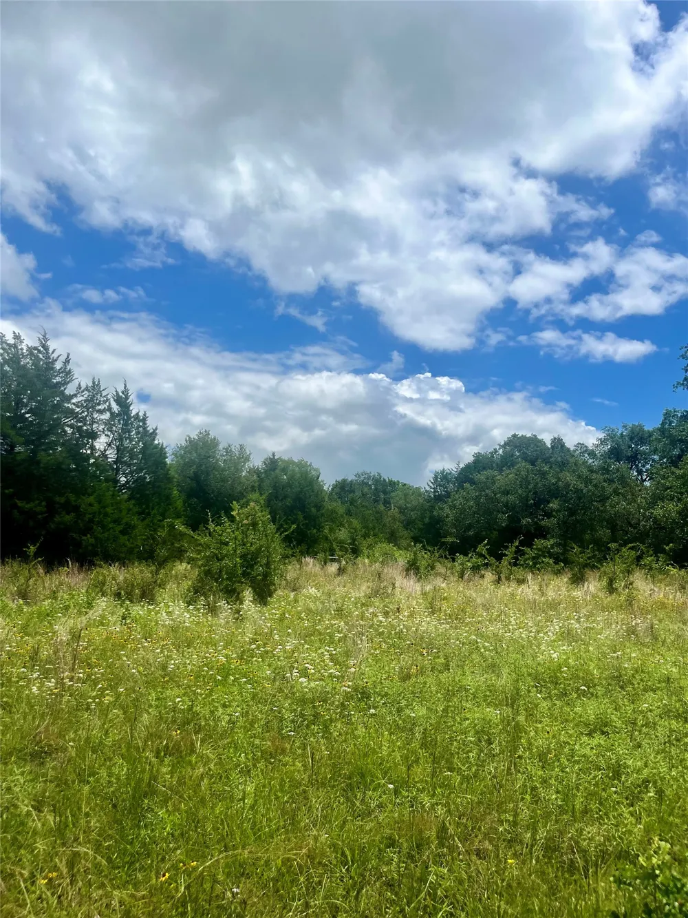 FM 39 Groesbeck, TX 76642