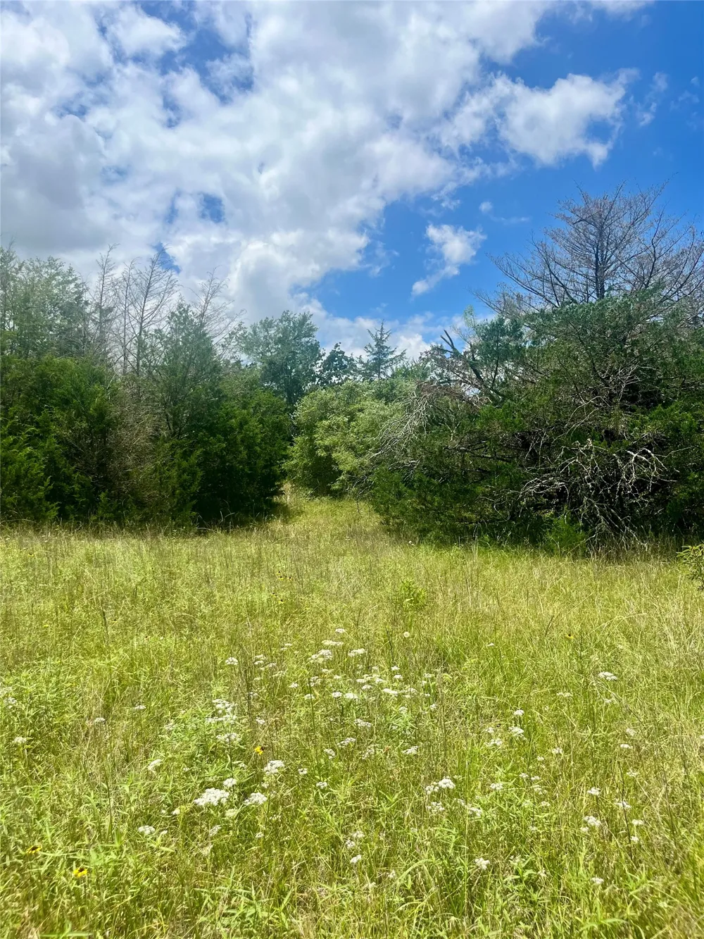 FM 39 Groesbeck, TX 76642