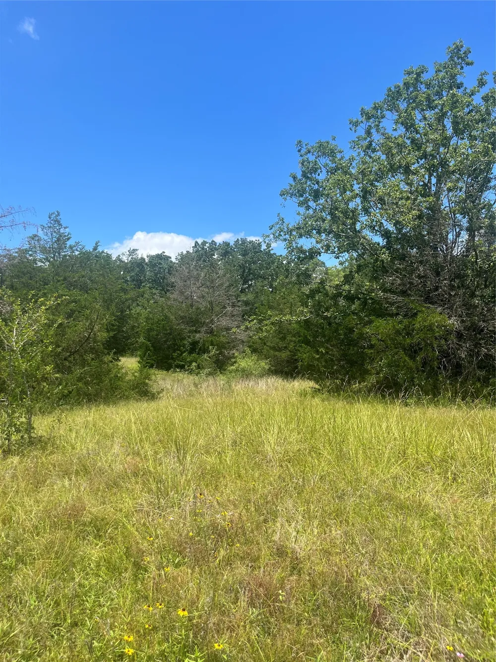 FM 39 Groesbeck, TX 76642