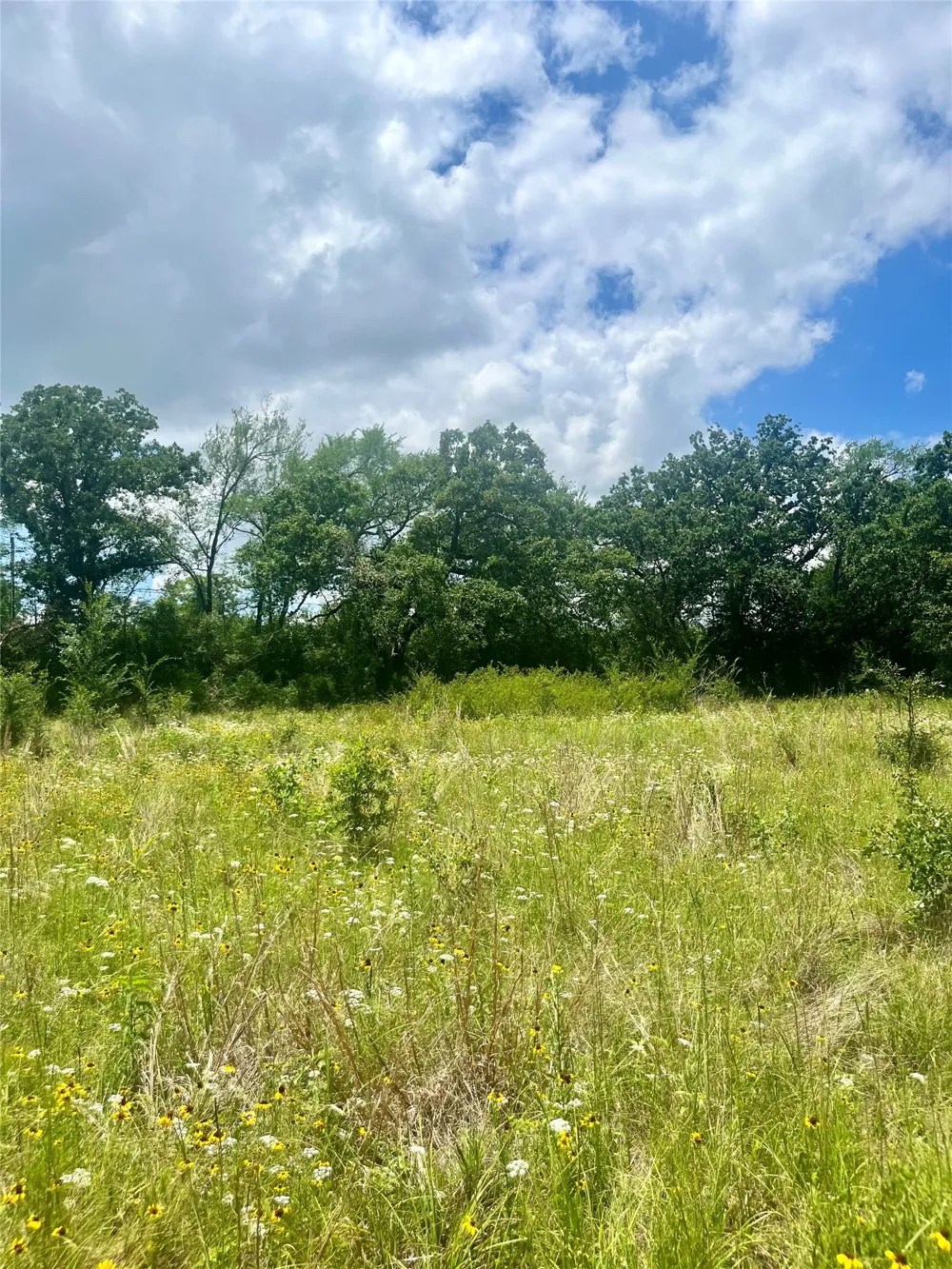 FM 39 Groesbeck, TX 76642