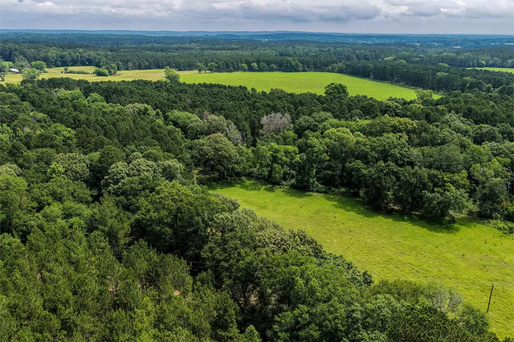 341 Cr 1675 Grapeland, TX 75844