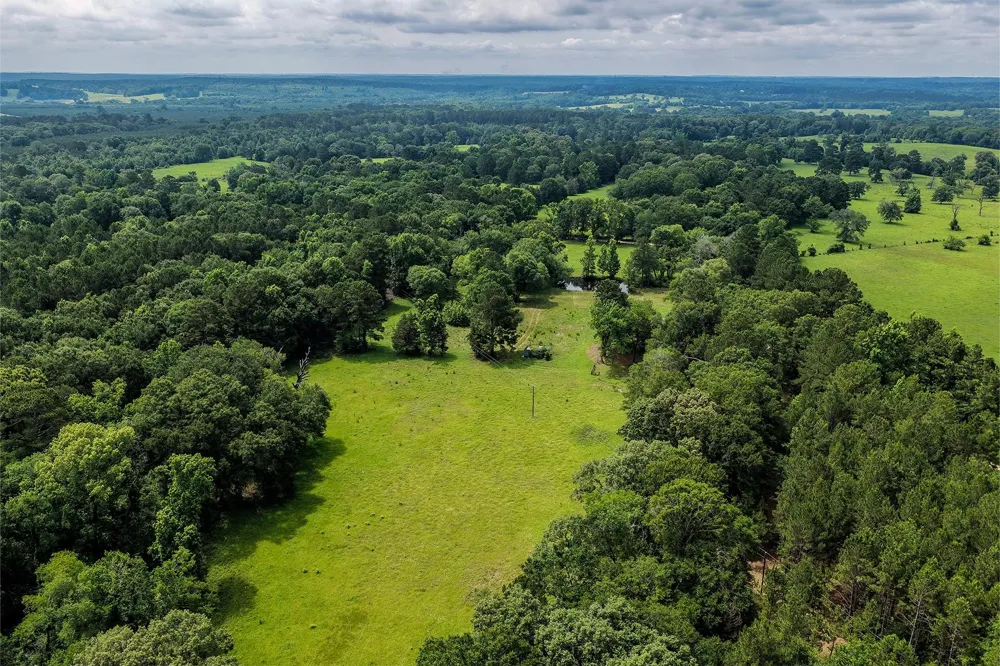 341 Cr 1675 Grapeland, TX 75844