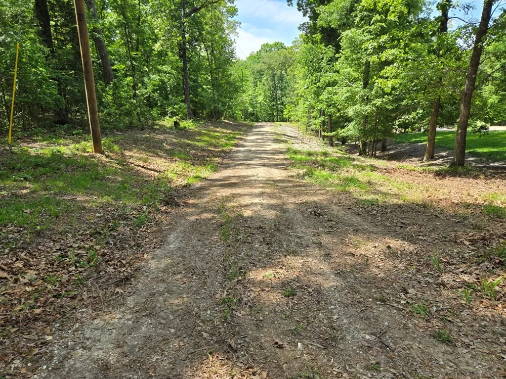 730 Swan Bay Dr Buchanan, TN 38222