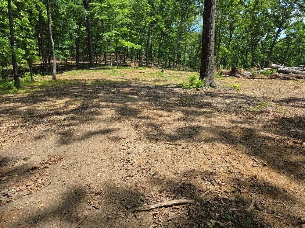 730 Swan Bay Dr Buchanan, TN 38222