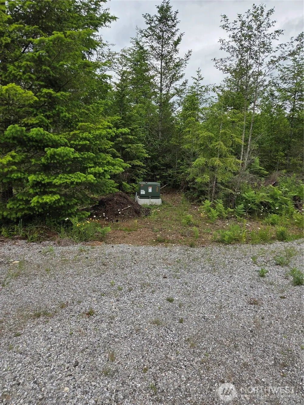 9242 Heady Road Sumas, WA 98295