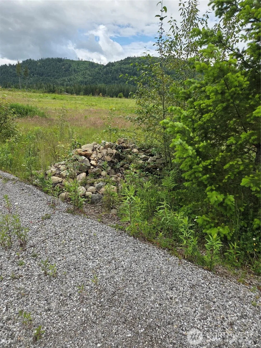 9242 Heady Road Sumas, WA 98295