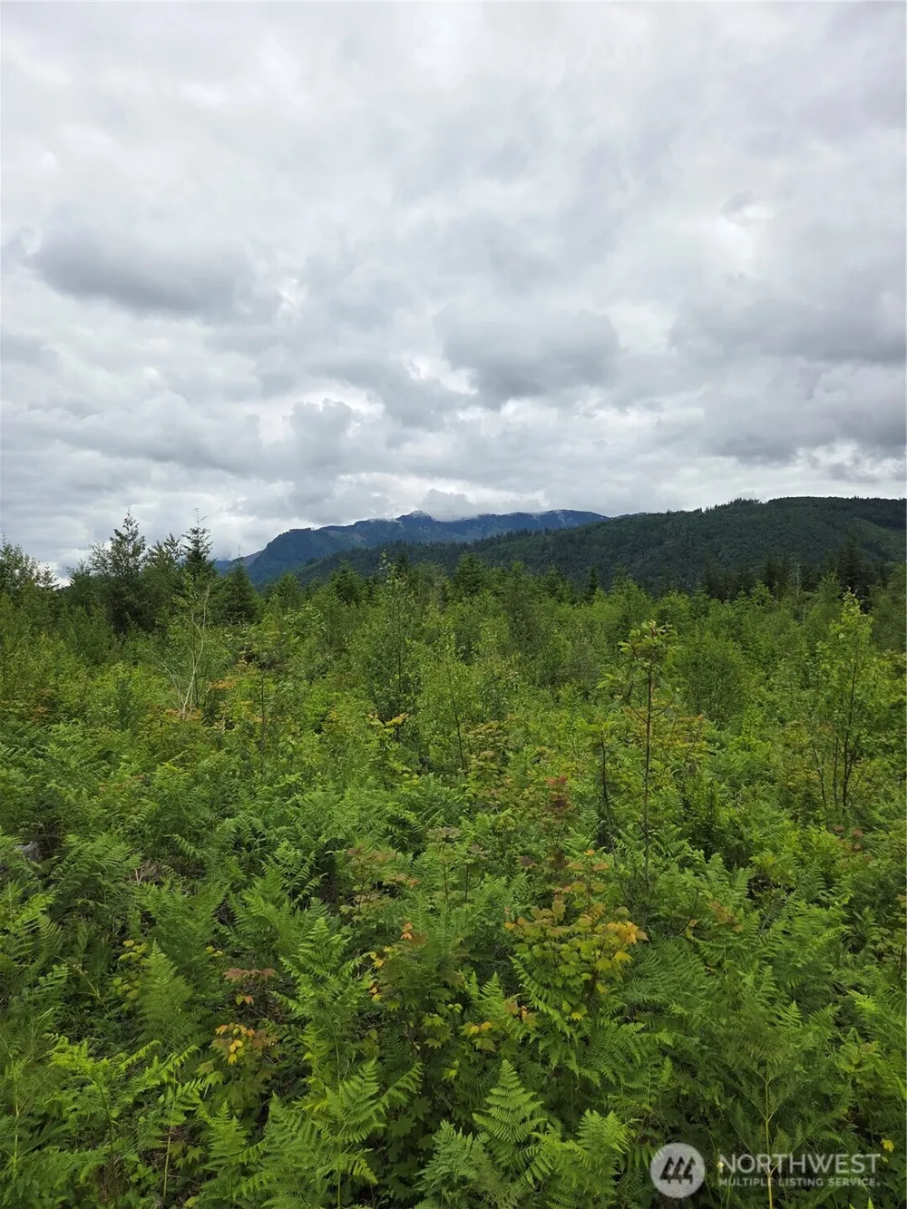9242 Heady Road Sumas, WA 98295
