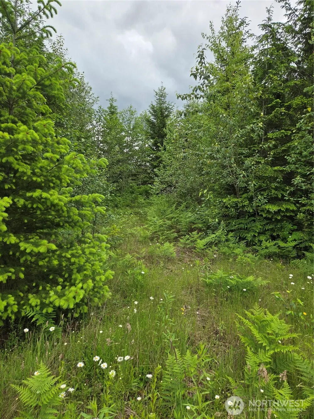 9242 Heady Road Sumas, WA 98295