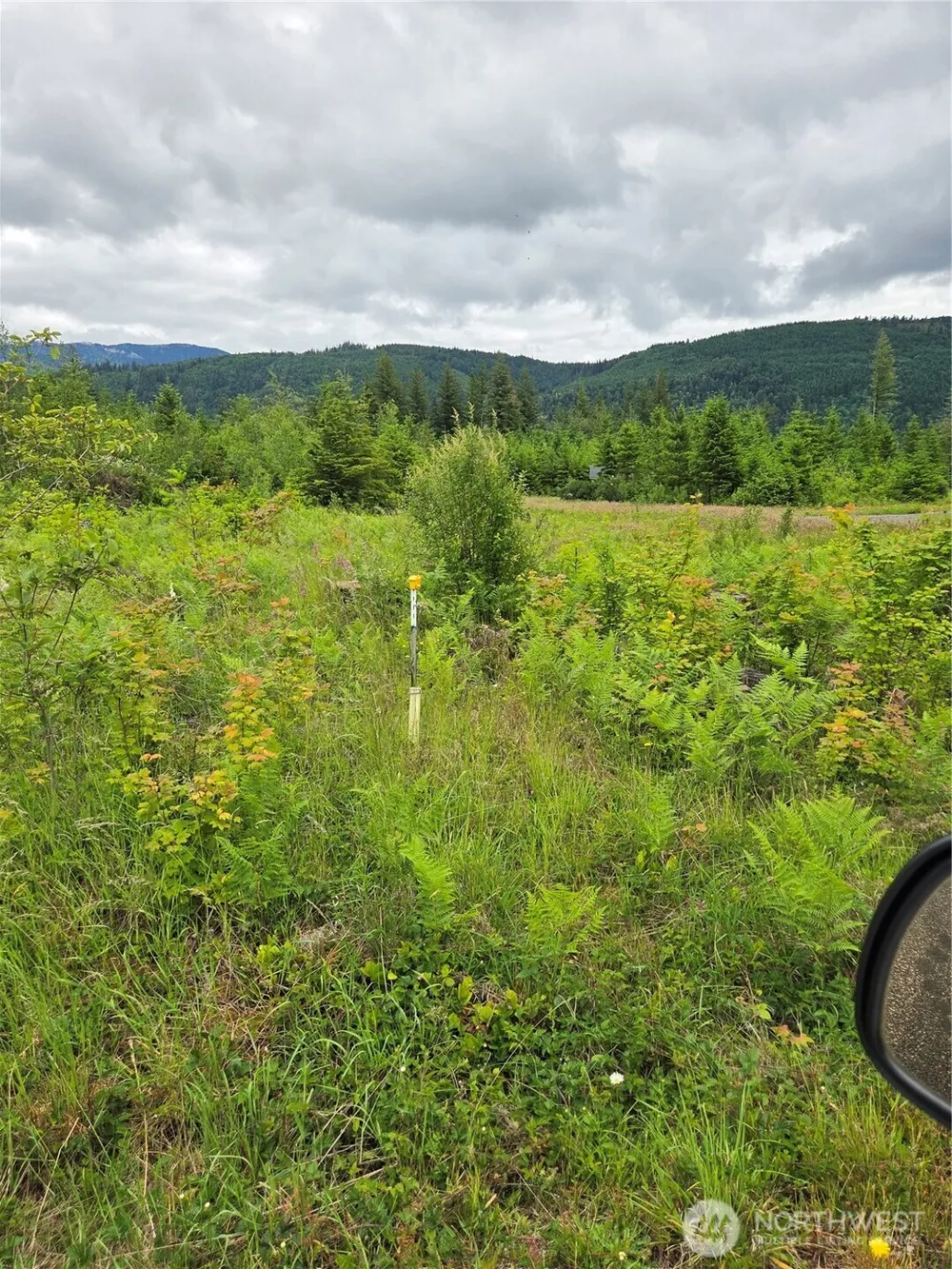 9242 Heady Road Sumas, WA 98295