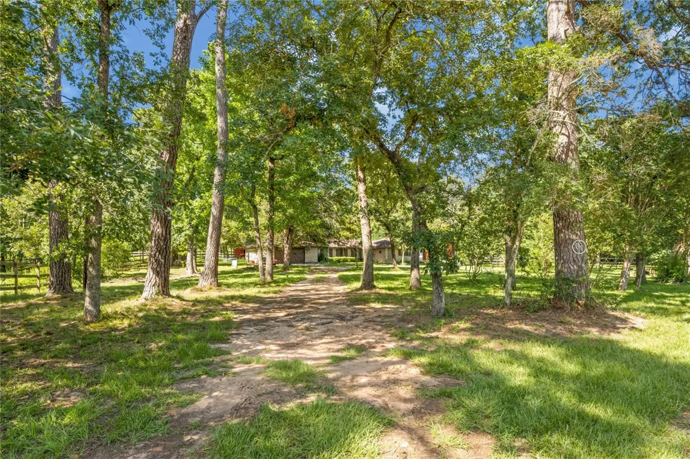 2342 Apache Drive Montgomery, TX 77316