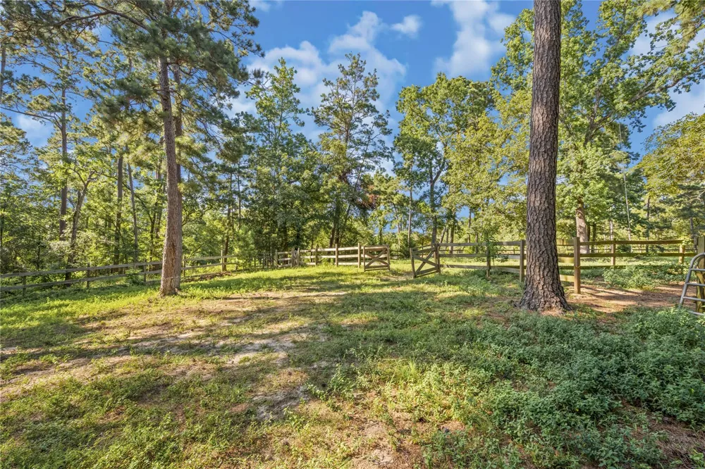 2342 Apache Drive Montgomery, TX 77316