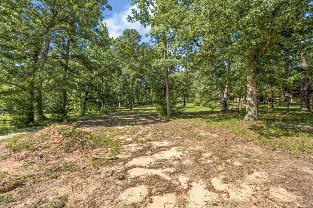 2342 Apache Drive Montgomery, TX 77316