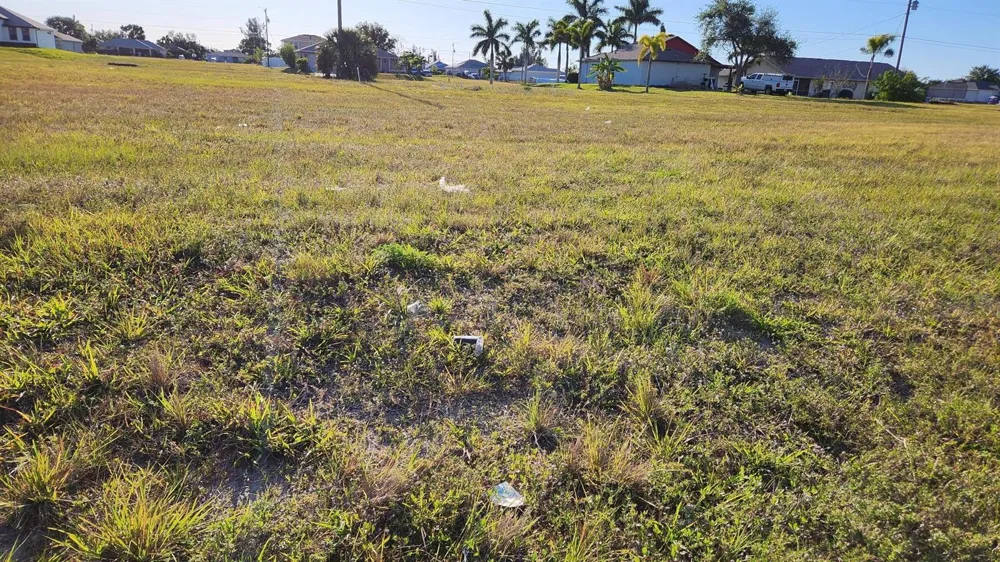 1724 Andalusia Boulevard Cape Coral, FL 33909